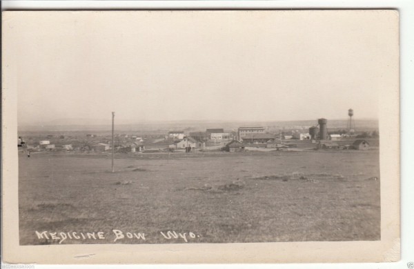 medicine bow.jpg