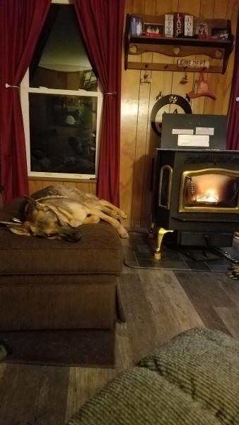20190128_065400.jpg