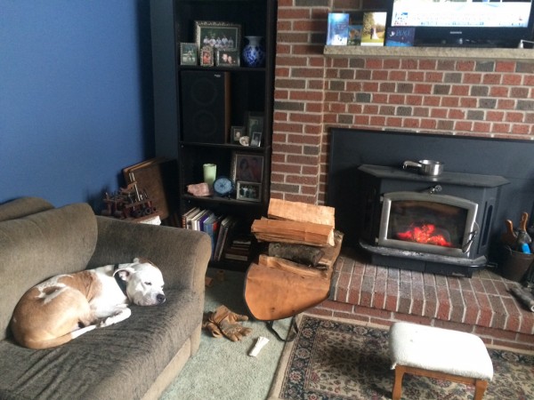 IMG_3612.JPG (532.43 KiB) Viewed 10547 times IMG_3612.JPG