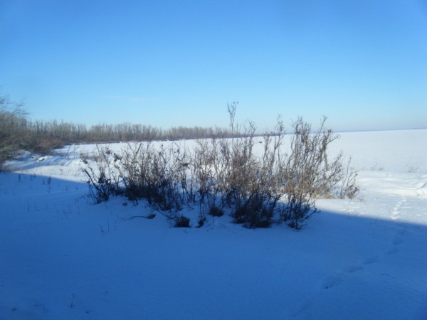 DSCF2148.JPG (204.08 KiB) Viewed 10624 times DSCF2148.JPG