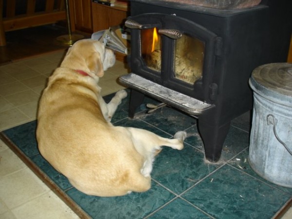 DSC01303.JPG (55.95 KiB) Viewed 10614 times DSC01303.JPG