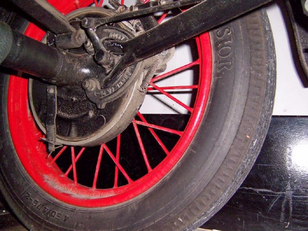 Rocky at rear wheel.jpg
