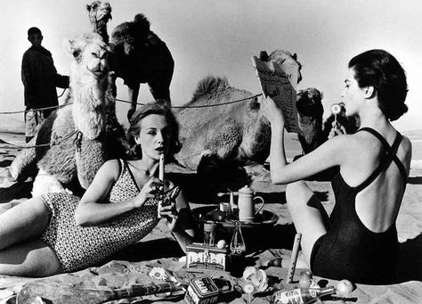 KDcamels.jpg