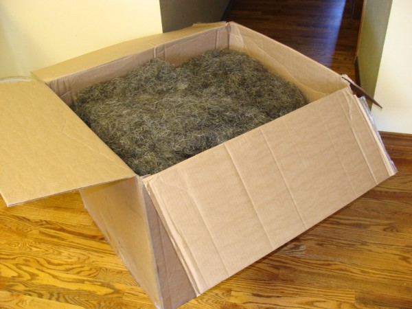 Horsehair in box.jpg