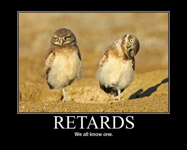 retardbirds.jpg