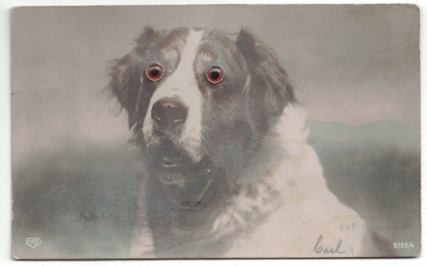 carl.jpg