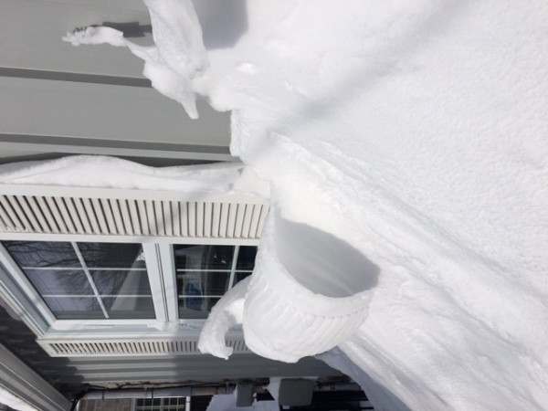 Snow at home.JPG