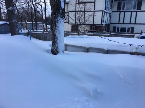 Snow at home 2.JPG