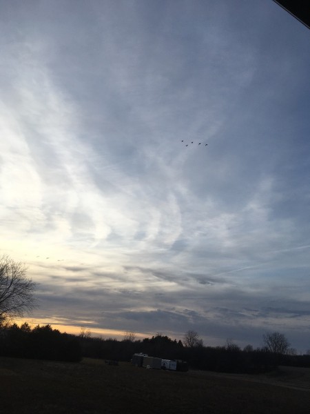 698EFFCF-2A71-4B5F-BCED-A957A5900755.jpeg
