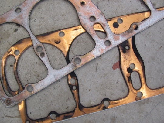 IMG_8479 (590x443) (540x405).jpg