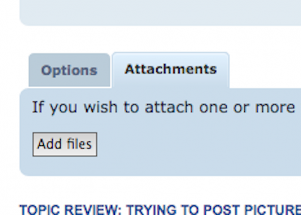 Screen Shot 2020-04-13 at 9.32.19 PM.png