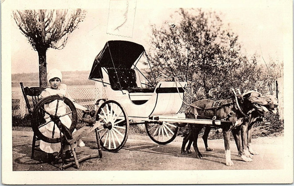 dog carriage.jpg