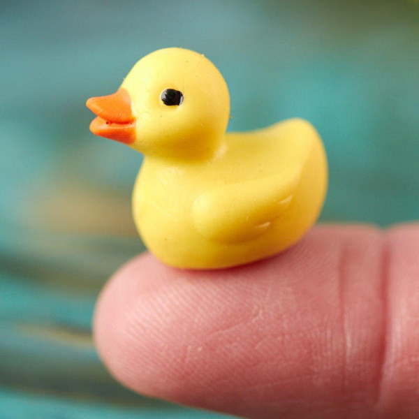 dollhouse_miniature_rubber_ducky.jpg (47.6 KiB) Viewed 9127 times dollhouse_miniature_rubber_ducky.jpg