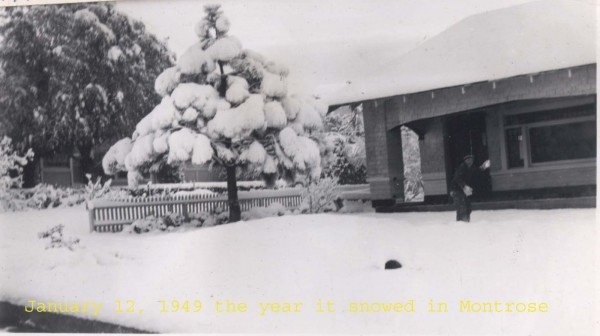 snow 2.jpg