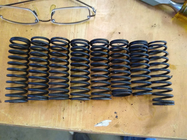 valve springs.jpg
