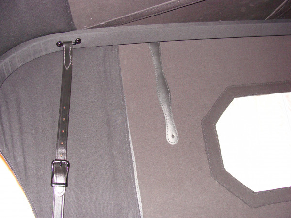 Fred rear top loop.JPG