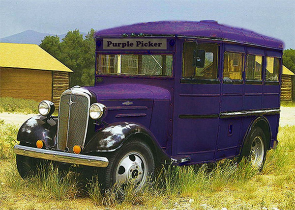 Picker.jpg