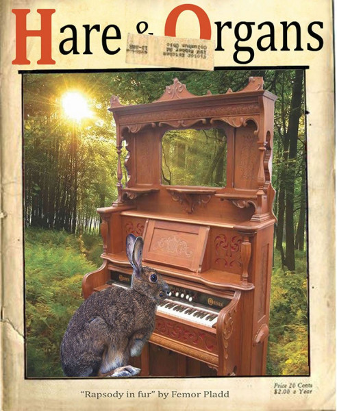 HnO.jpg