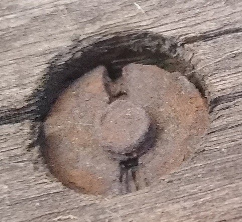 original nut?