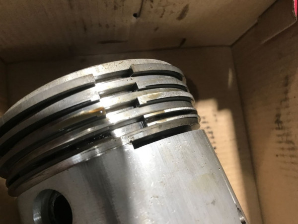 RingShapeRotated.JPG