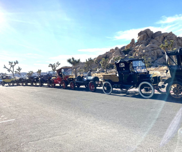 joshua tree 2.jpg