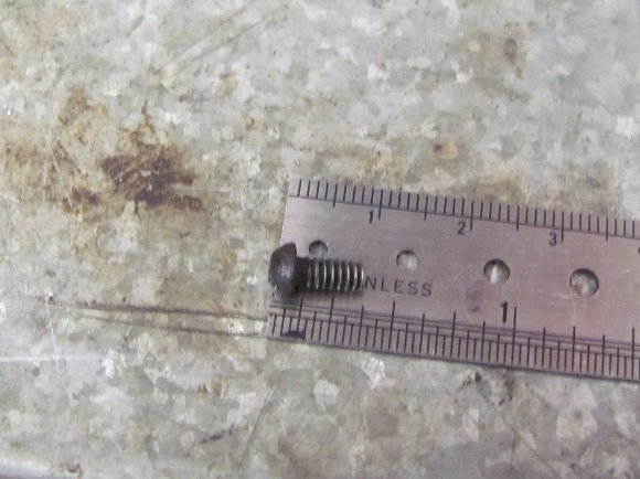 IMG_8316 (580x434).jpg