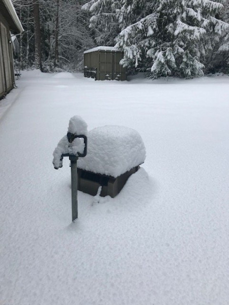 shop snow.jpg