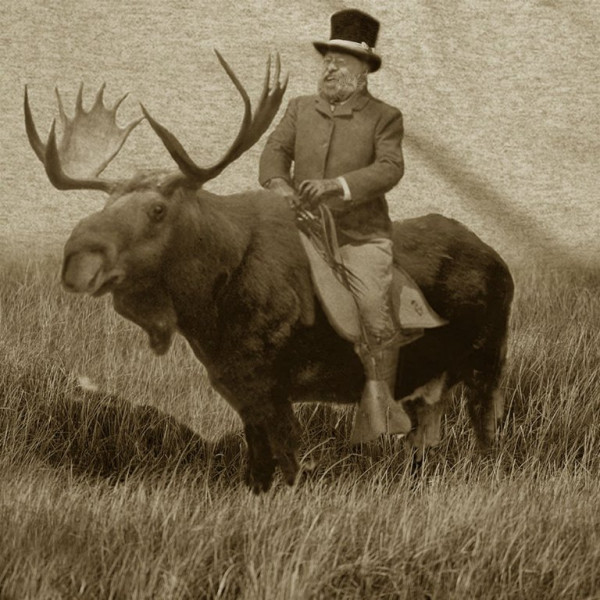 KDbull.jpg