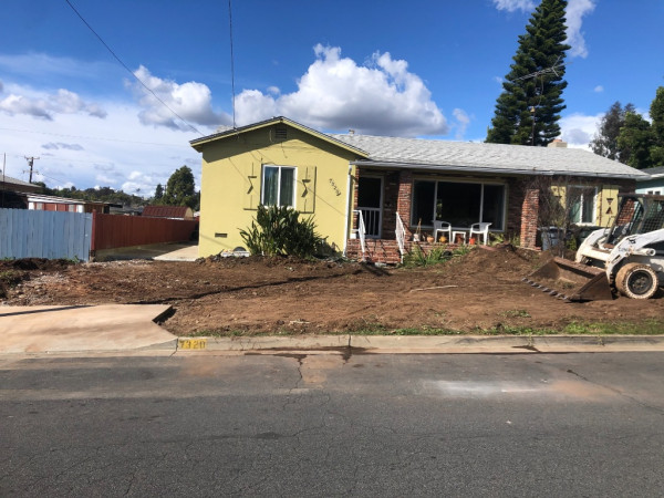 Messy front yard