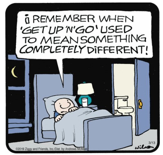 ziggy.jpg