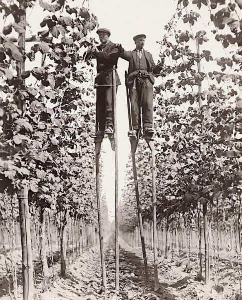 KDstilts1.jpg