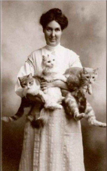 cat lady.JPG